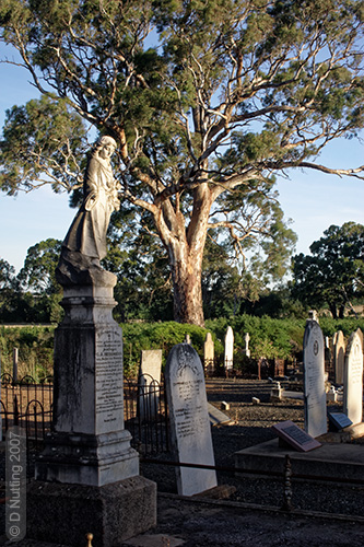 (Foto &copy; D. Nutting) Pionier-Friedhof von Bethany