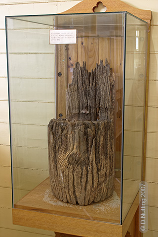 Photo &copy; D Nutting: wooden seat