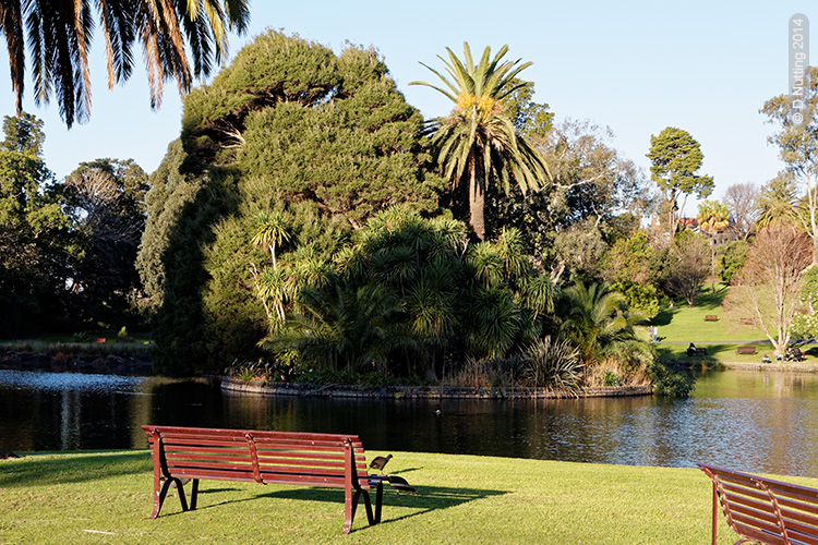 (Photo: D Nutting) small island in a lake