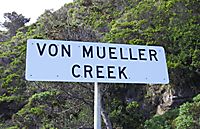 (Foto © D. Nutting) Von Mueller Creek, Great Ocean Rd