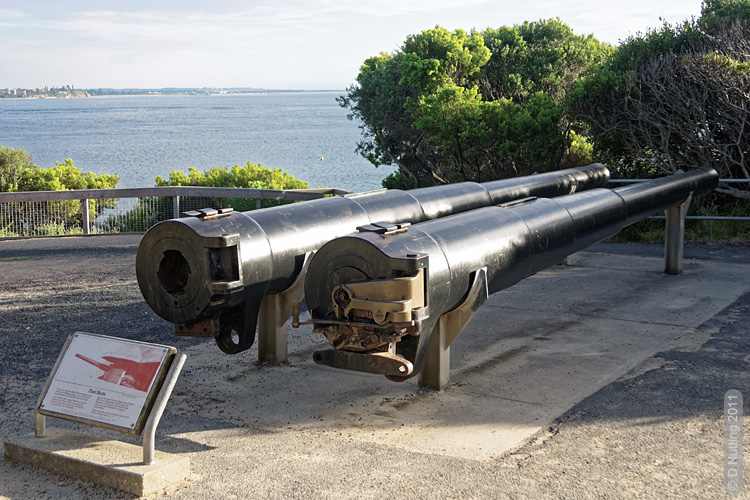 Photo &copy; D Nutting: cannons