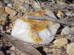 (Photo © D. Nutting) Lump of quartz on Victoria Hill, Bendigo