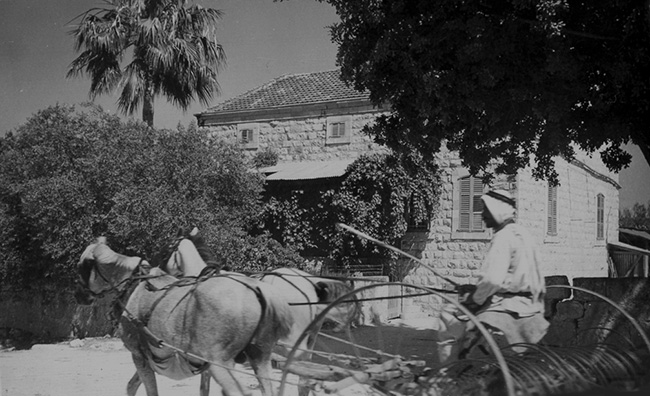 Foto: Beck-Haus