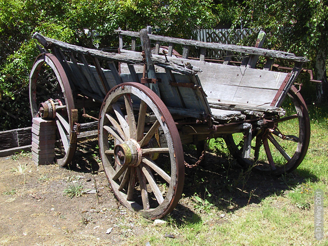 (Foto &copy; D. Nutting) German wagon
