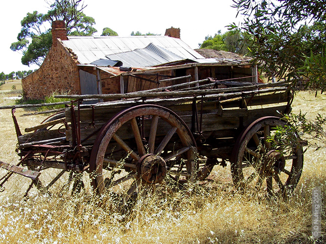 (Foto &copy; D. Nutting) German wagon