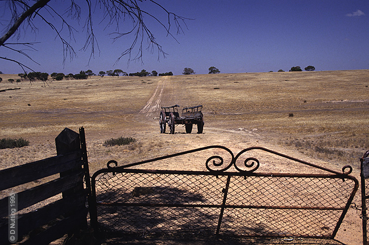 (Foto &copy; D. Nutting) German wagon auf einem Ackerfeld