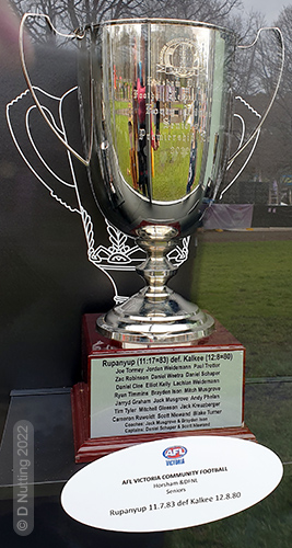 (Photo copyright D Nutting) football trophy