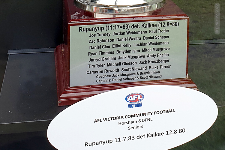 (Photo copyright D Nutting) football trophy